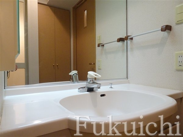 ルーブル学芸大学参番館の洗面所