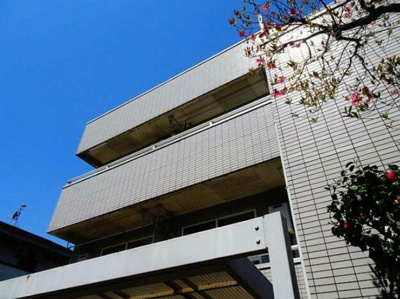 【キッチン】 | カステーロフチ | 外観