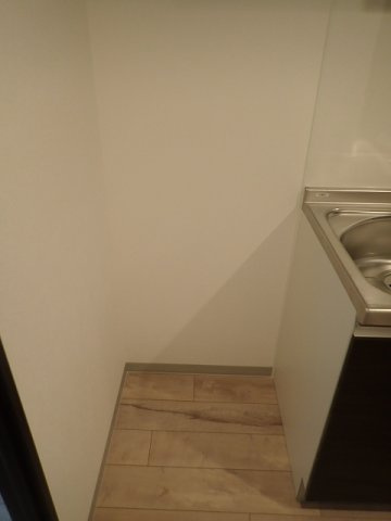 カーサブリランテ本駒込のその他