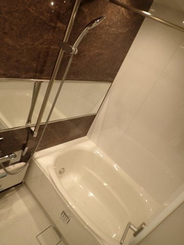 カーサブリランテ本駒込の浴室