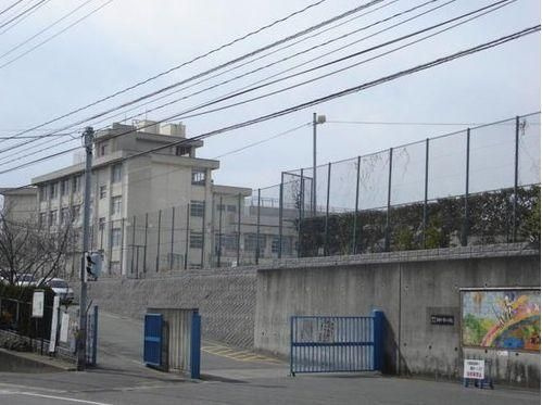 フレグランス香椎参道の周辺