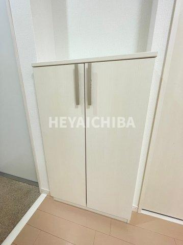 イクス・セラピアのその他|シューズボックス