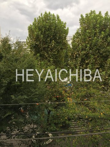 コンフォート松が谷の展望