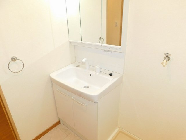 エリール亀井の洗面所