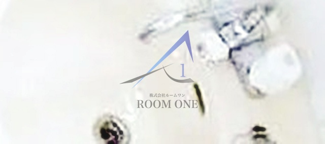 コンフォルト浅草の洗面所|洗面台です。