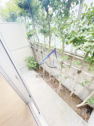 ＡＸＩＳ　ＣＯＵＲＴ　ＫＯＥＮＪＩ