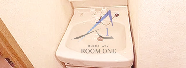 菱和パレス護国寺駅前の洗面所|独立洗面台です。