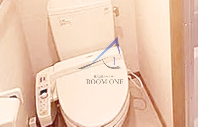 菱和パレス護国寺駅前のトイレ|トイレです。