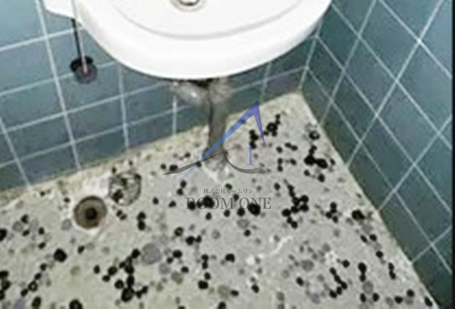 ニュープリンスの洗面所|洗面台です。