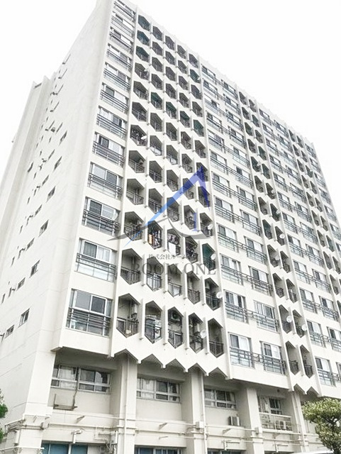 山王スカイマンションの外観|外観です。