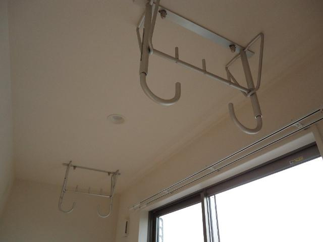 カモミールのその他|室内物干し