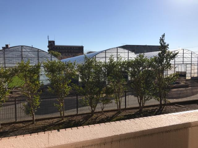 プロニティ小森野のその他|眺望