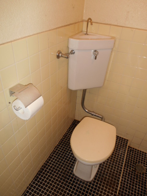 JOY梅野（ジョイウメノ）のトイレ|別部屋参考用写真