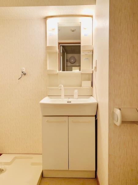 ティアラ恵比寿の洗面所