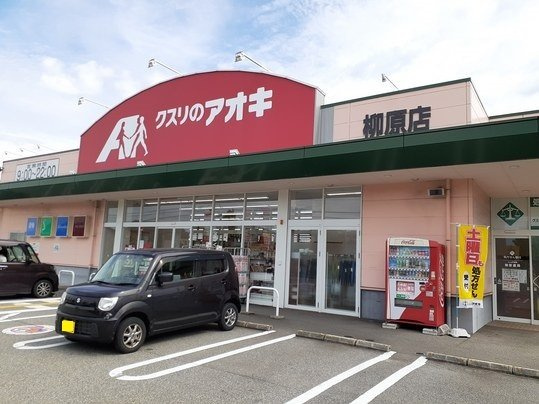 シェーン・ドルフⅠの周辺|クスリのアオキ柳原店まで450m