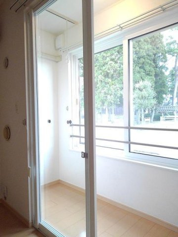 シェーン・ドルフⅠのその他