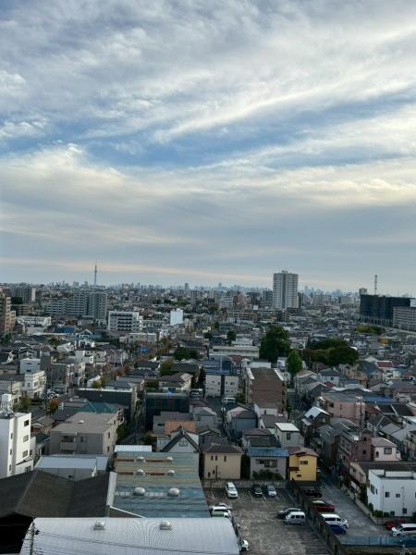 【展望】 | Ｅｖｅｒｇａｒｄｅｎ