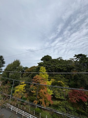 【その他】 | パークヒルズ田園調布