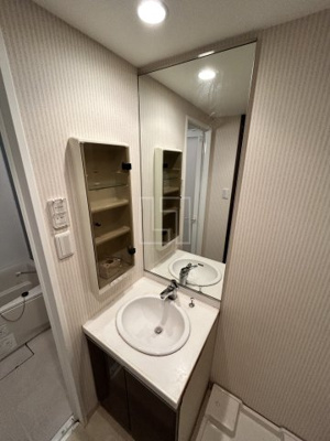【洗面所】 | Fortuney大手前 | Fortuney大手前（フォーチュニー大手前）　独立洗面化粧台