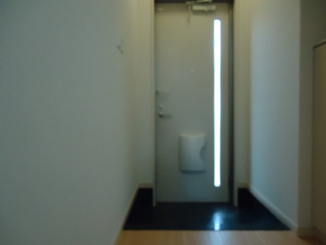 グランピュア　Ｃｏｃｏ　Ⅱの玄関|玄関