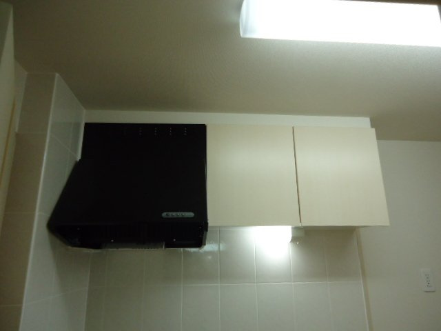 グランピュア　Ｃｏｃｏ　Ⅱのキッチン|キッチン収納