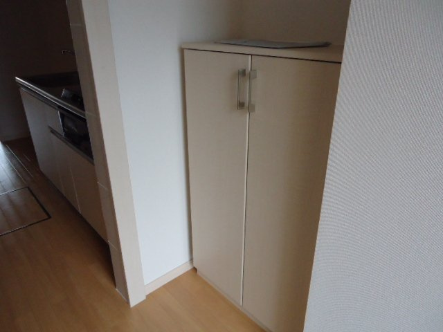 グランピュア　Ｃｏｃｏ　Ⅱの収納|下駄箱