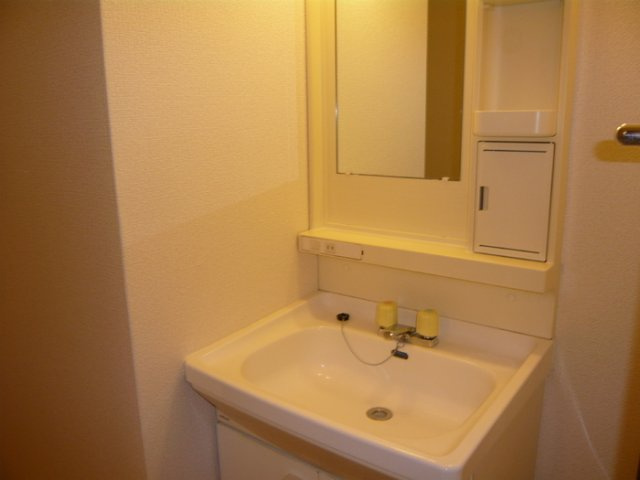 アカンサスKの洗面所