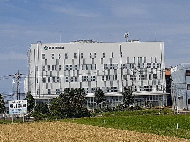 メゾン　ド　ルミエールの周辺|坂井市役所まで233m