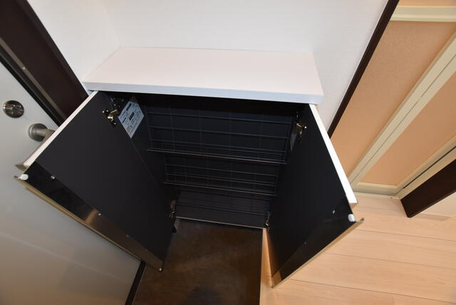 ラフィーヌ雅の玄関