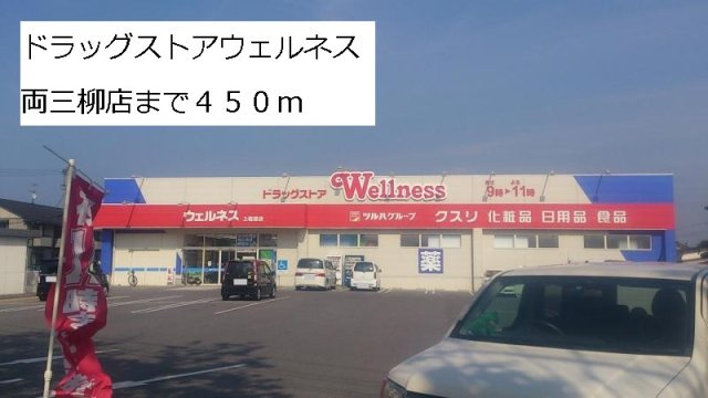 ベラ・ルーチェＣの周辺|ウェルネス両三柳店まで450m