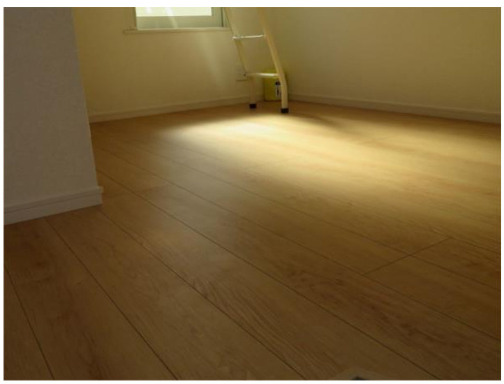 ソフィアテンポ(家具付き)の居間・リビング