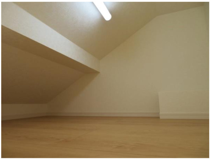 ソフィアテンポ(家具付き)の収納