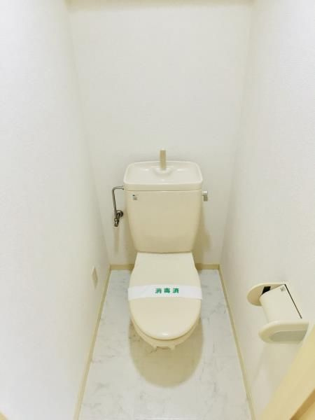 グリーンヒルＶＩＩのトイレ