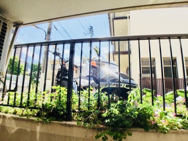 グリーンヒルＶＩＩの展望