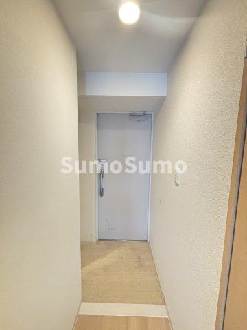 グレイス難波南の玄関|収納もある玄関です