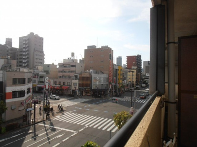 【展望】 | ヴィラカトレア