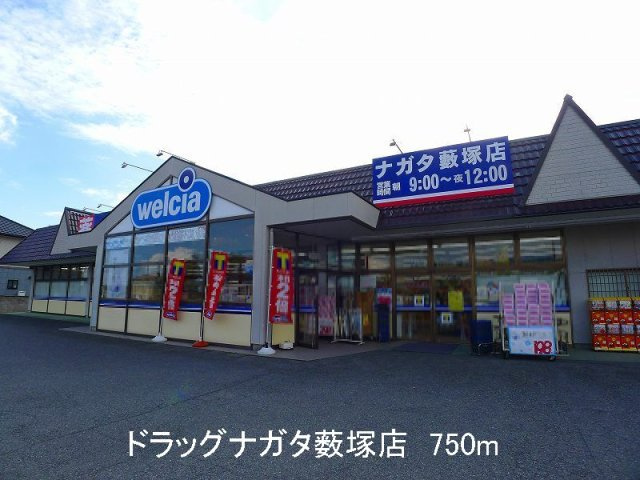 パルテノンＢの周辺|ドラッグナガタ薮塚店まで750m