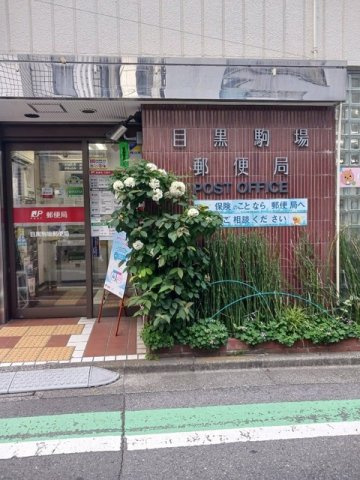 ファヴール駒場の周辺|目黒駒場郵便局まで290m