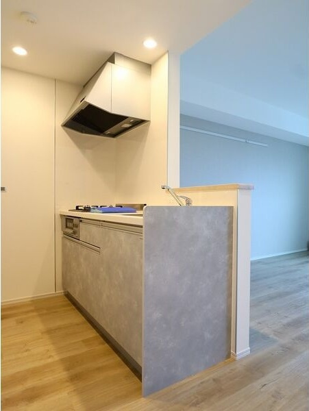 Y&KⅢのキッチン