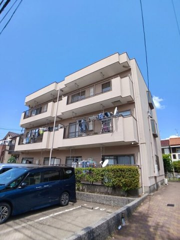 マリッチ五才美