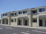 ピオニーの画像