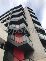 パピヨンの画像