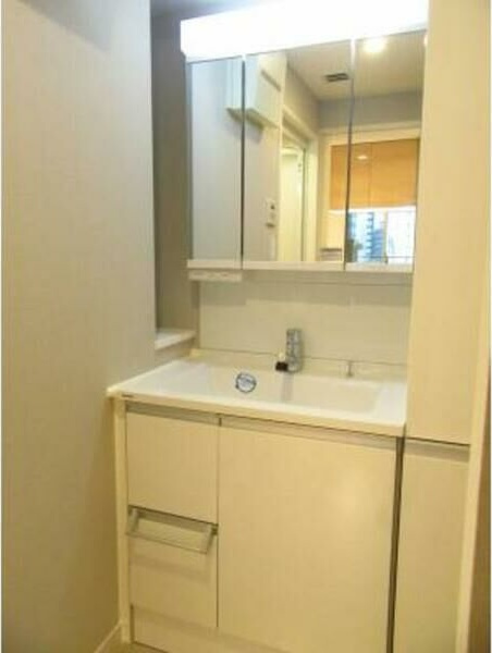 ルーエ錦の洗面所