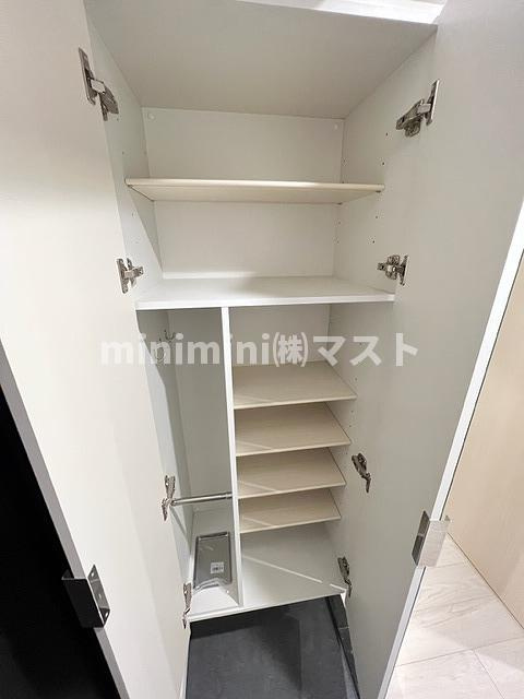 ソルテラスNAMBAサウスフィールの収納