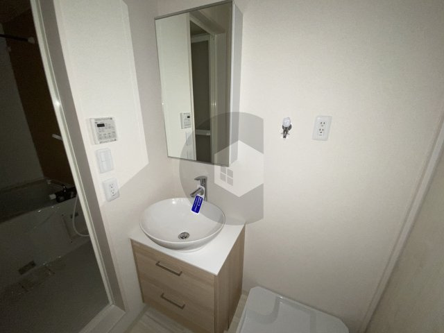 フジパレス若江岩田南の独立洗面台