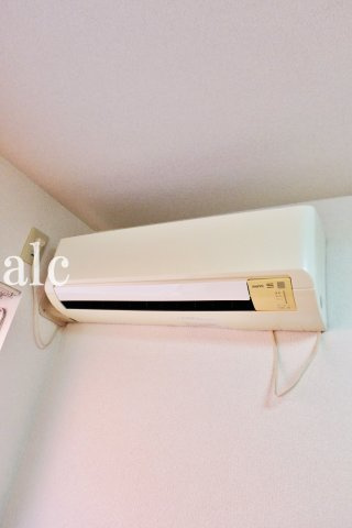 シエスタルイスのその他