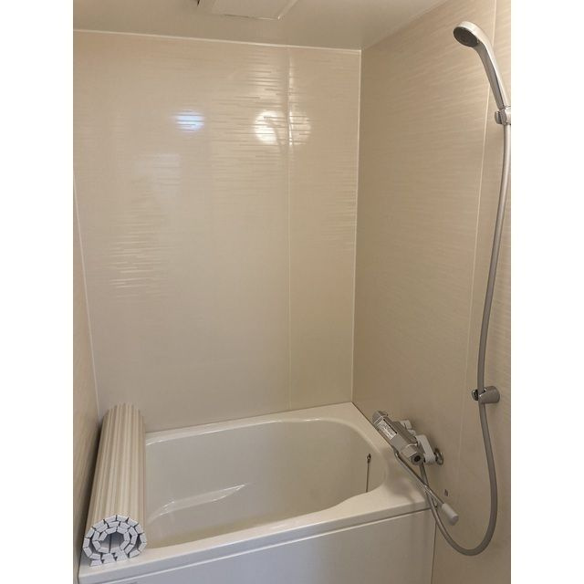 メゾン・ド・ロアの浴室