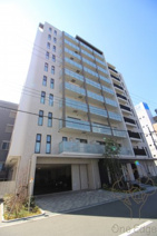 サンクステルの画像