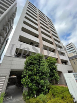 アルテシモ　フォンテの画像