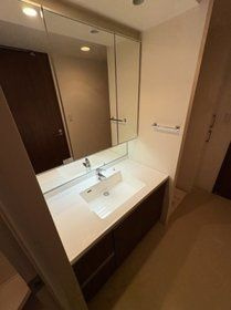 TOWER RESIDENCE　TOKYOの洗面所